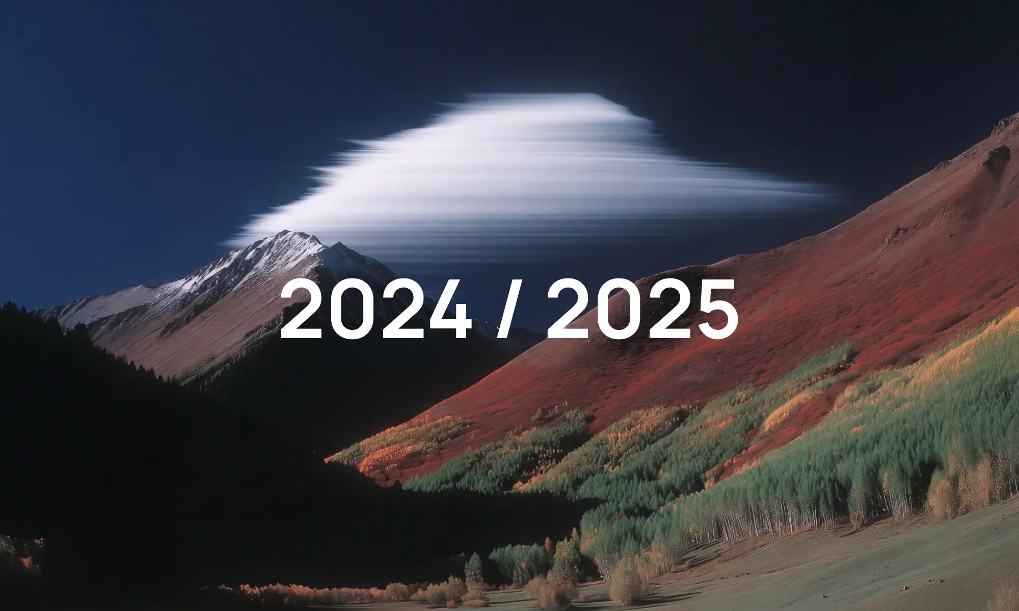 Our 2024 in review, and 5 ideas for 2025