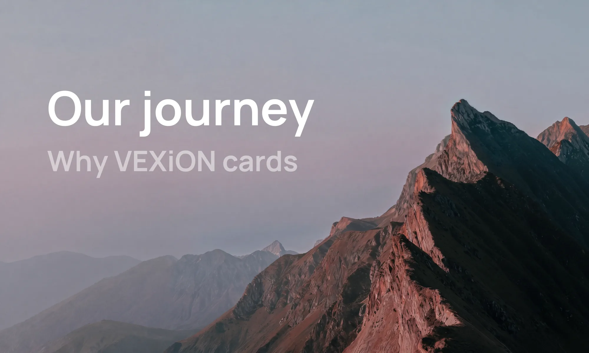 Why we built VEXiON cards