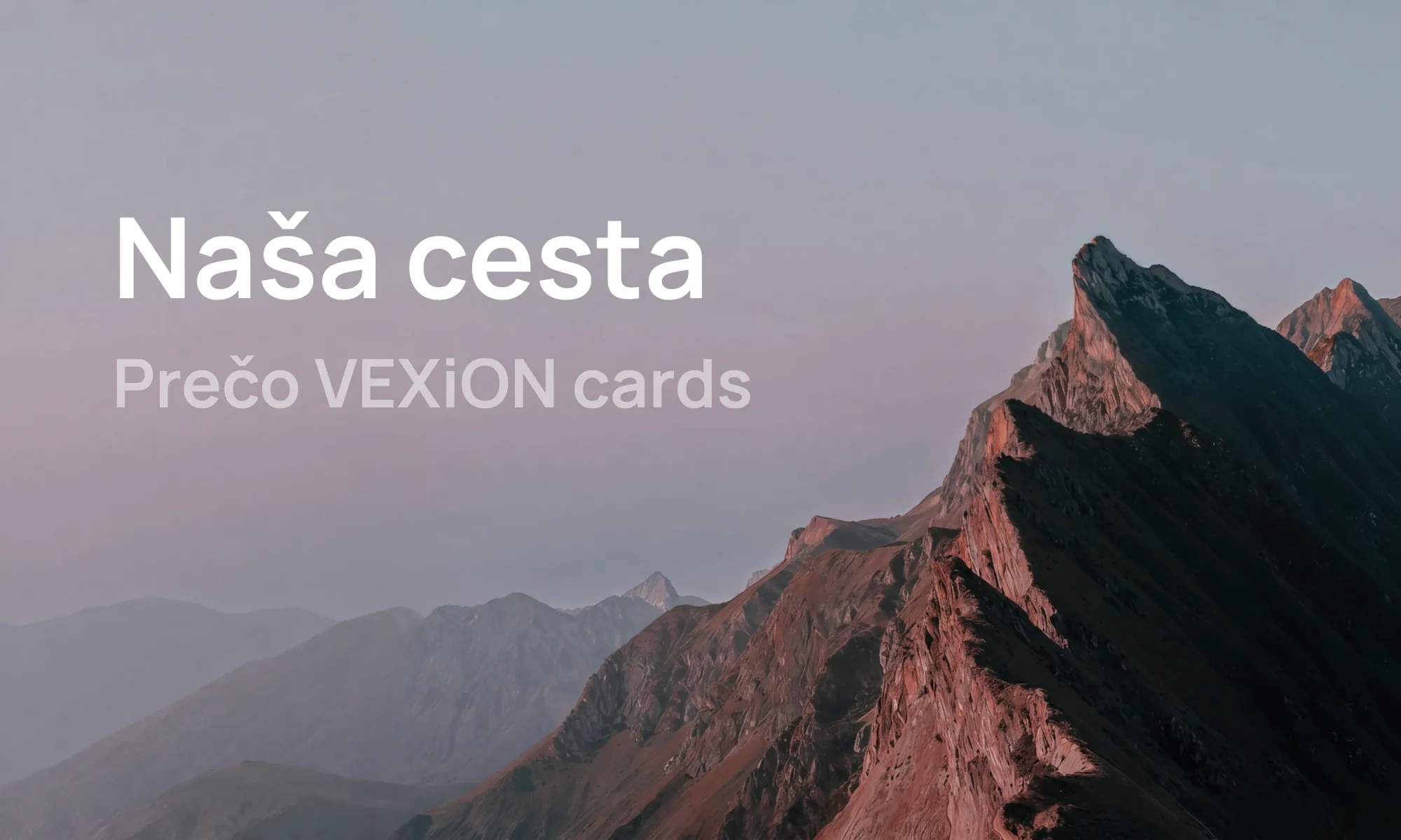 Prečo sme vytvorili VEXiON cards